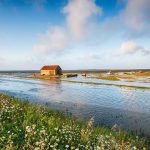 Straty wody w hotelach, szkołach i szpitalach – jak duże obiekty mogą je kontrolować?